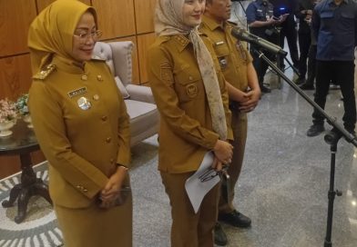 Pemprov Pastikan Akhir Bulan Bagikan SK P3K