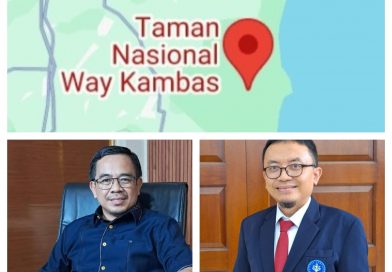 Perdagangan Karbon Jadi Opsi Pendanaan Lingkungan di Lampung