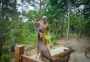 Wagub Jihan Dorong Pengelolaan Hutan Lampung yang Lestari dan Berkelanjutan